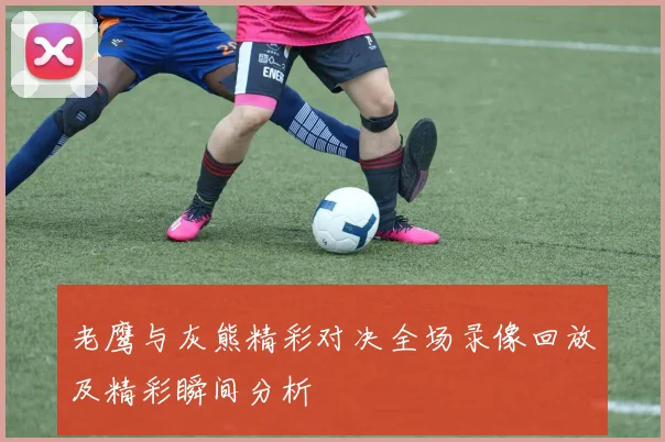 老鹰与灰熊精彩对决全场录像回放及精彩瞬间分析