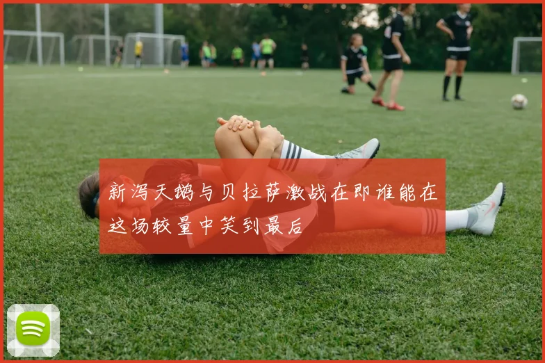 新泻天鹅与贝拉萨激战在即谁能在这场较量中笑到最后