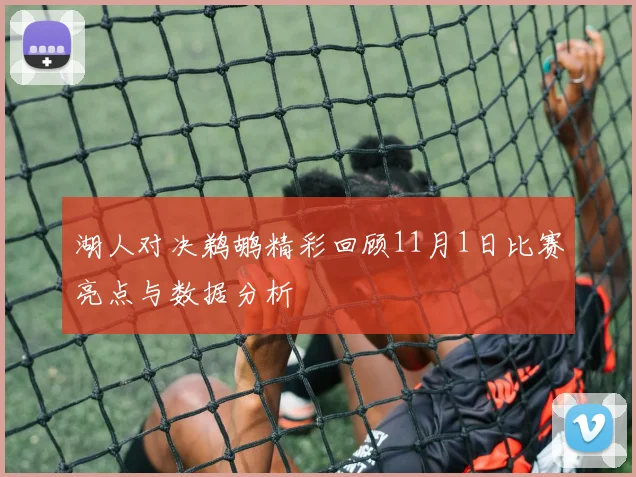 湖人对决鹈鹕精彩回顾11月1日比赛亮点与数据分析