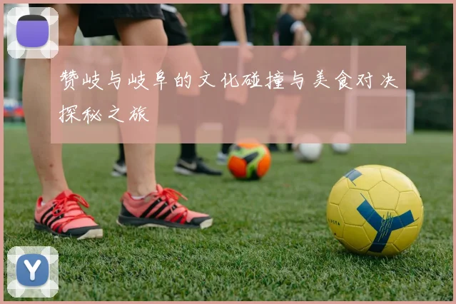 赞岐与岐阜的文化碰撞与美食对决探秘之旅